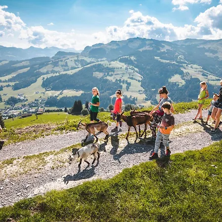 Erwin-2 By Interhome Apartment *