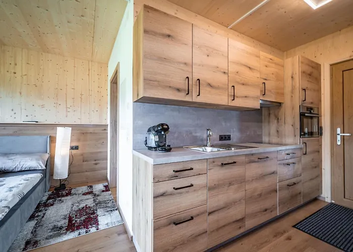 Erwin-2 By Interhome * Kirchberg in Tirol