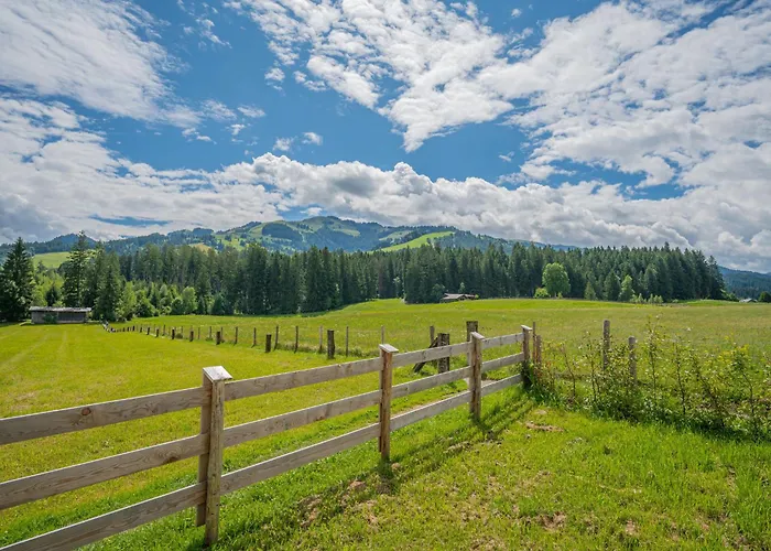 Erwin-2 By Interhome